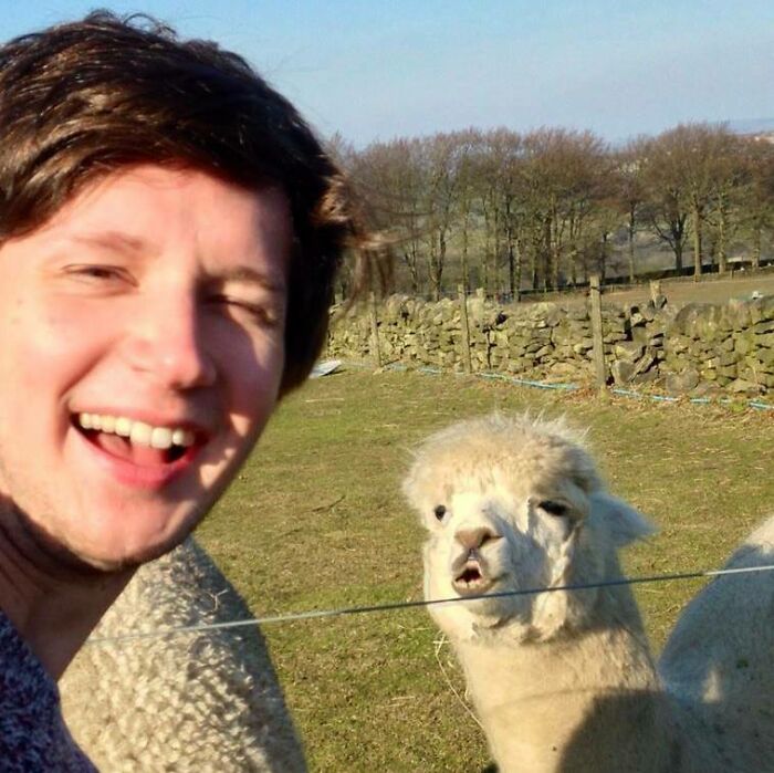 Alpaca Selfie