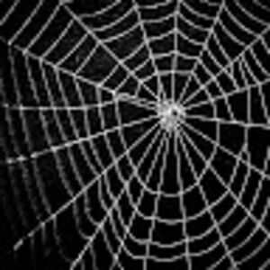 lechebubuleche avatar