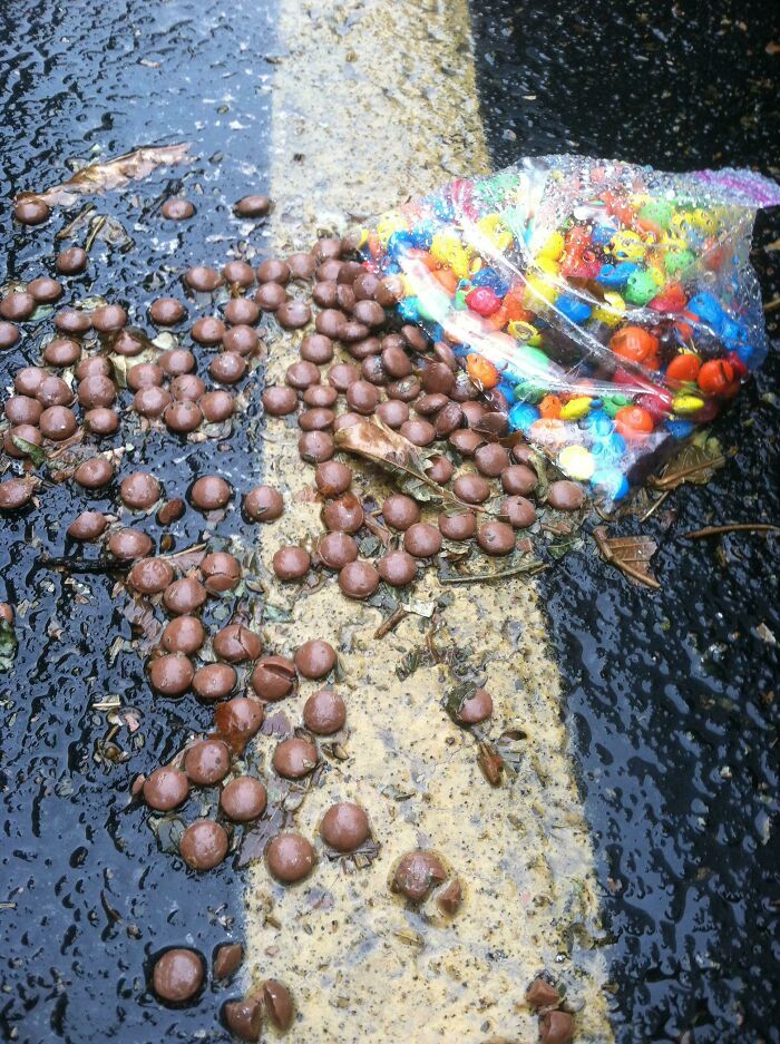 The Rain Melted The Shells Off The Exposed M&M's I Found In A Parking Lot