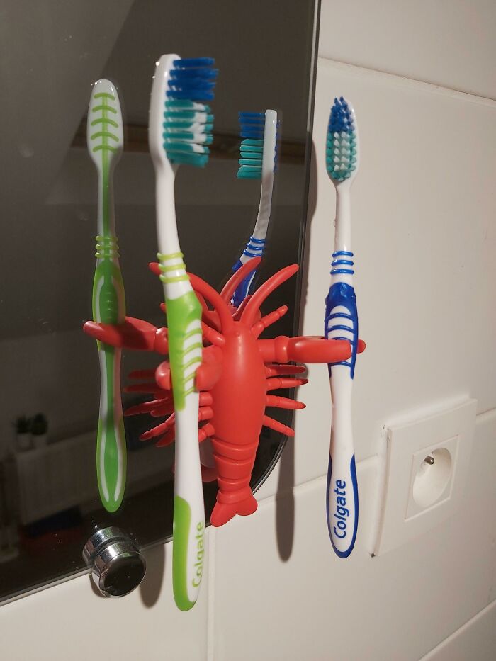 This Cool New Toothbrush Holder I Got, Thought It Might Belonged Here!