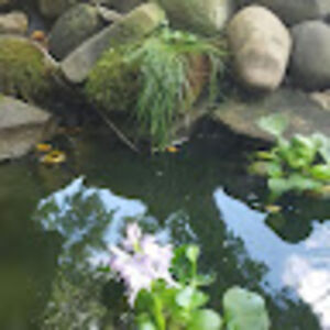 davidkaminsky avatar