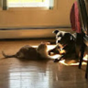 marissasantos avatar