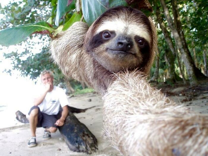 A Buddy And I Were Getting Stoned On Some Random Beach Beach In Costa Rica When This Guy Unexpectedly Descended From The Trees To See What We Were Up To, He Insisted On A Selfie
