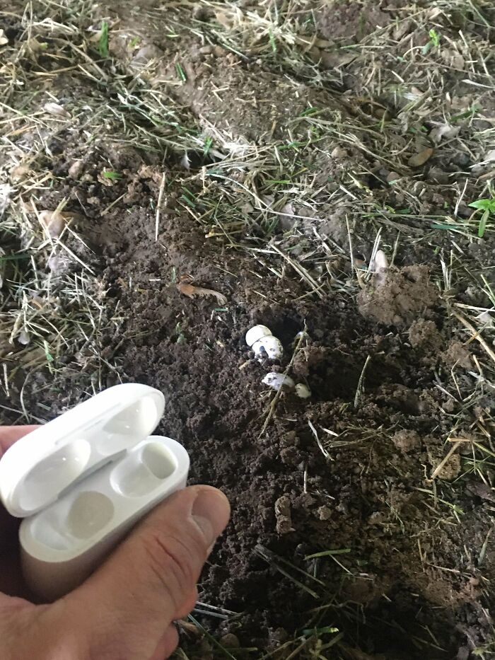 AirPods Went Missing. Turns Out My Kid Buried Them In The Back Yard