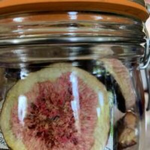 robert_bobbie avatar