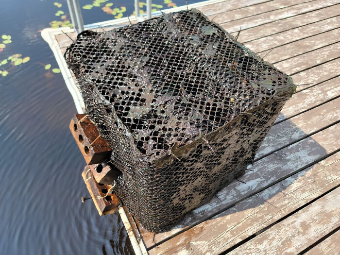 Acabo de comprar una casa en el lago y encontré tres de estos en el agua al lado del muelle. Una pila cruzada de tuberías rugosas envueltas en una red de plástico, todo en el fondo con ladrillos