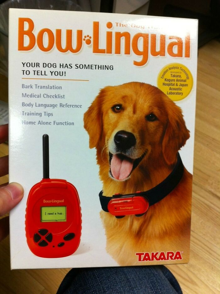 Bow Lingual: The Dog Translator. Yes, This Is A Real Thing