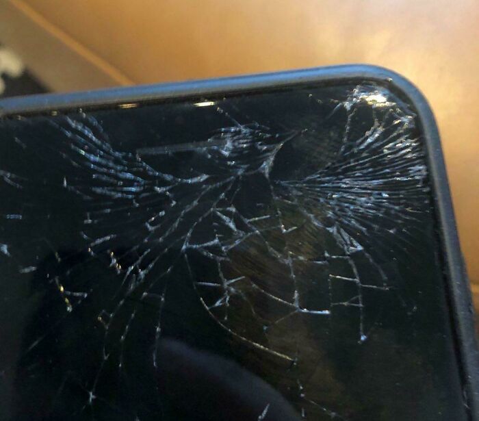 Dropped My Phone And The Crack It Made Kind Of Looks Like A Hummingbird