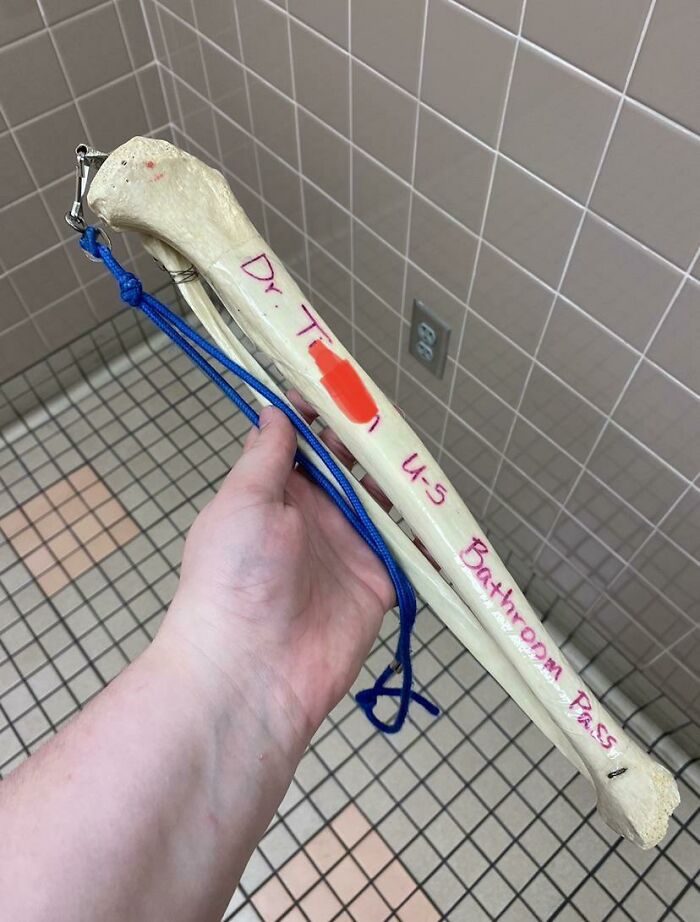 My Anatomy Teacher’s Bathroom Pass Is A Human Leg Bone