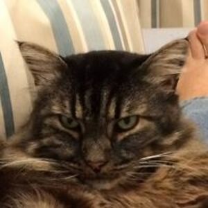 johnlewis311057 avatar