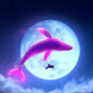 ishitachaudhary avatar