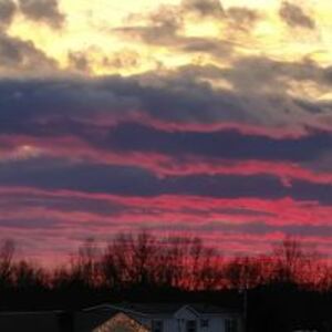 whiterabbit19762 avatar