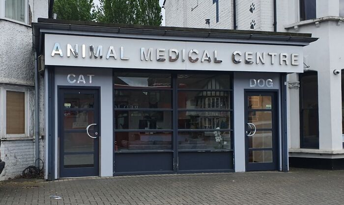 This Vet Has Got Separate Entrances For Cat And Dog Patients