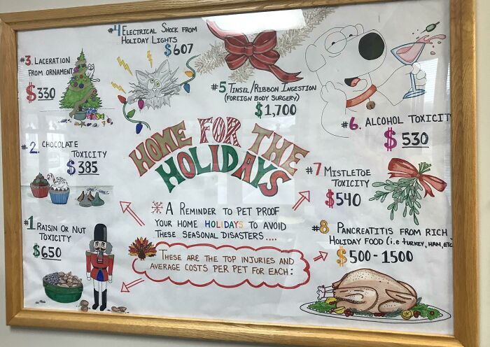 Vet Illustrates Top Holiday Pet Injuries With Prices
