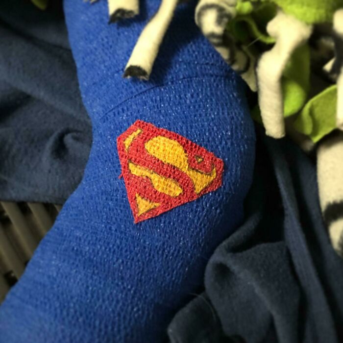 My Client’s Son Asked If His Dog’s Cast Could Be Superman Themed... I Didn’t Think Using Red And Blue Vet Wrap Was Enough