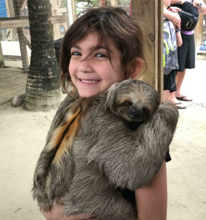 My Little Cousin Holding A Smiling Sloth
