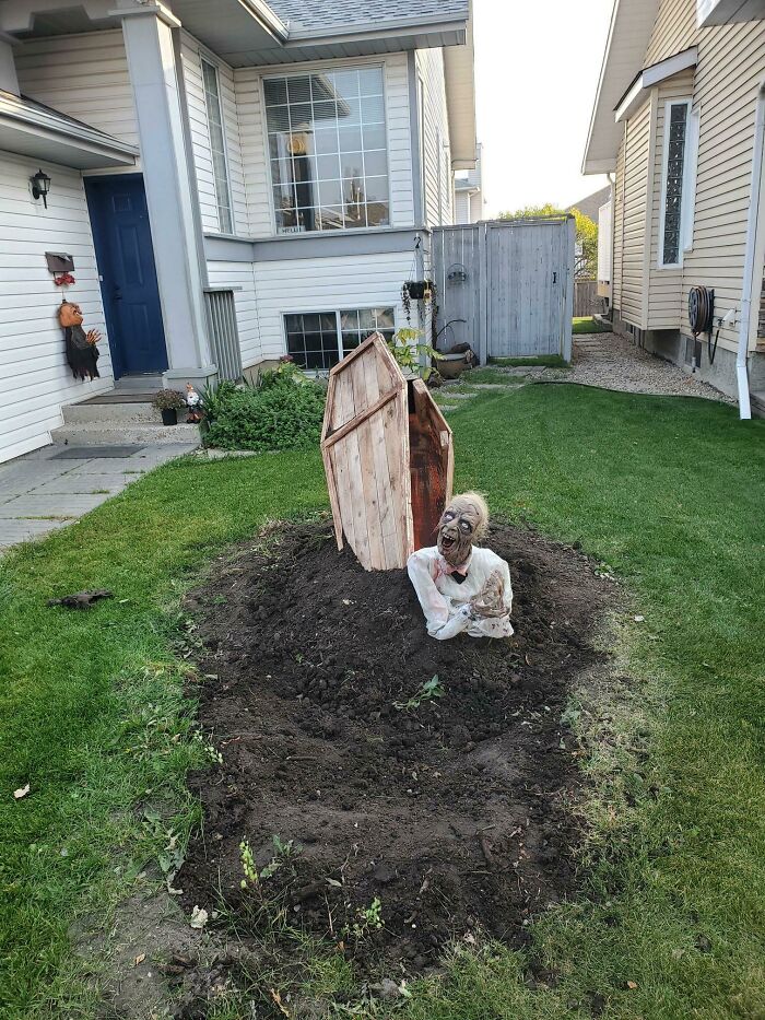 Had A Stump Removed In The Summer. Did The Only Reasonable Thing With The Hole