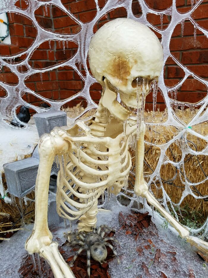 Halloween Decorations Covered In Ice