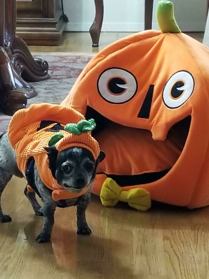 Ready For Halloween