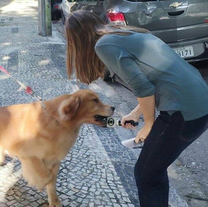 Reportera entrevistando a un perro