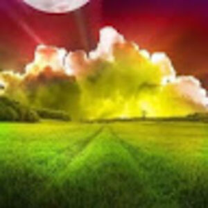 louiseashtreeacademicsmediation avatar