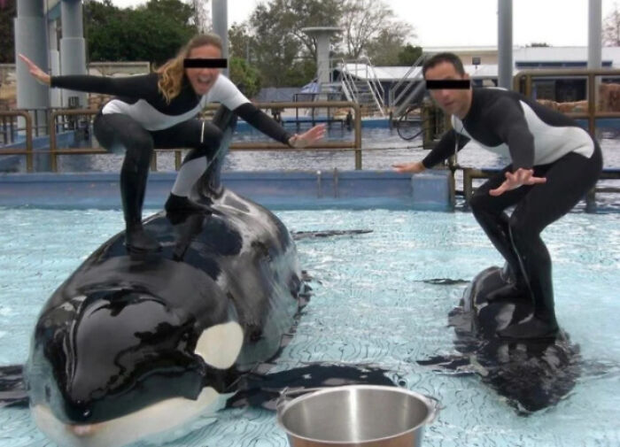 This Is Exactly Why I Hate Seaworld