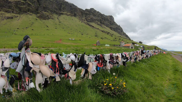 A Bra Fence In Iceland