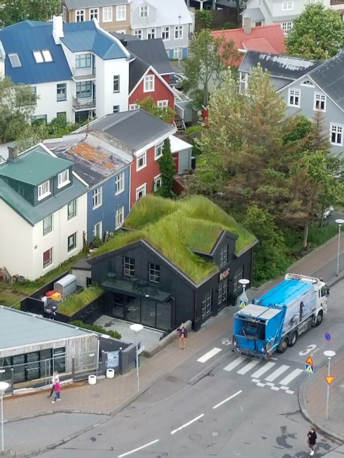 Icelandic Grass Roof (In The Summer)