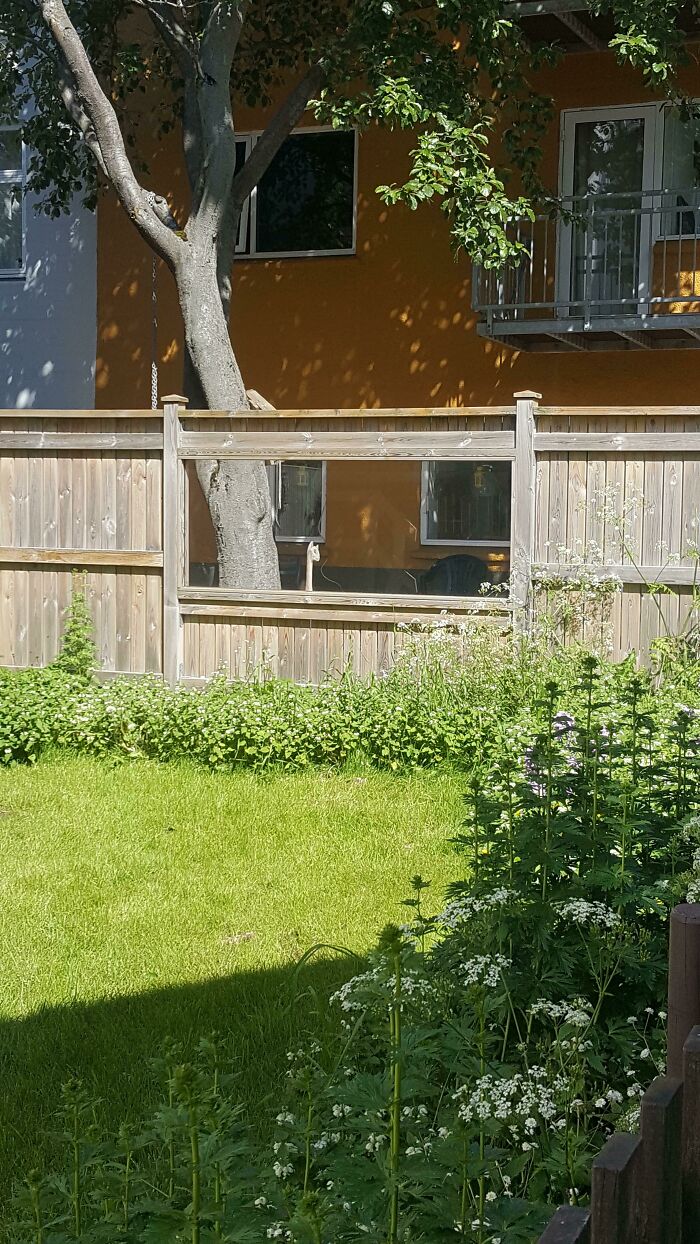 This Fence In Iceland Has A Glass Window