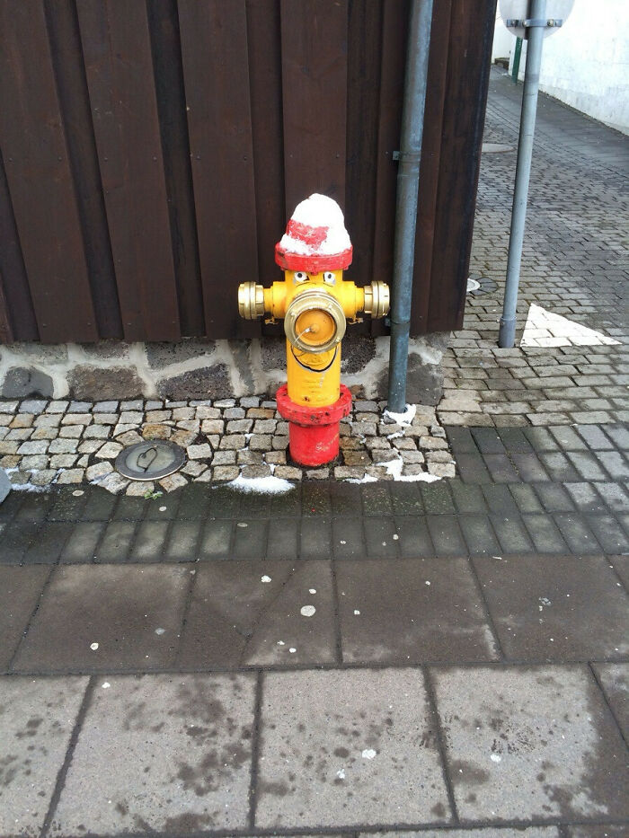 Icelandic Hydrant Loves Fires