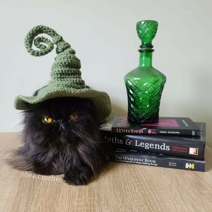 I Crocheted A Little Witch Hat For My Cat, Morticia