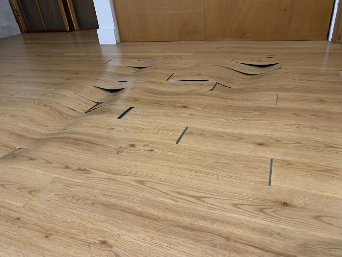 These Floorboards At My Airbnb