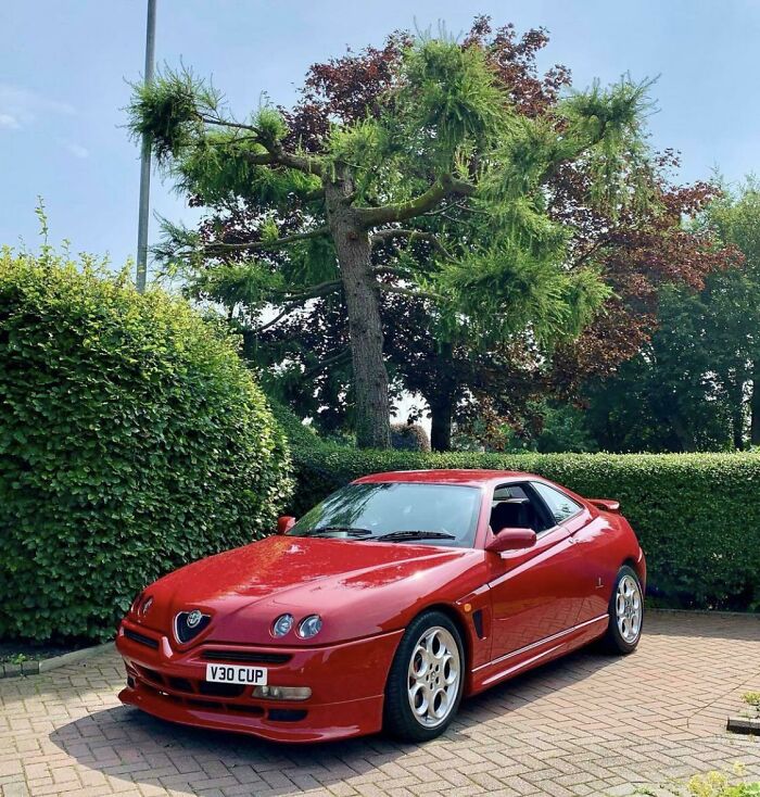 Real Italian Style Alfa Romeo GTV