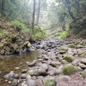 mike831anderson avatar