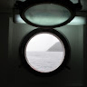 danielpacheco avatar