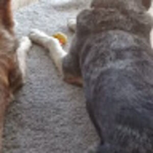 kathrynrussell avatar