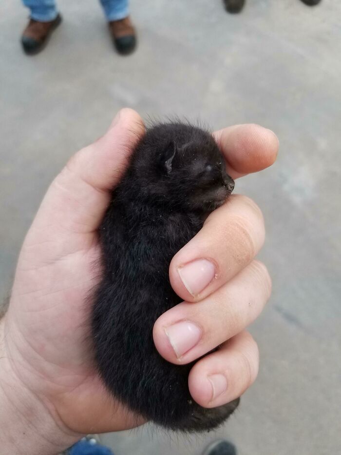 Found Him At Work After His Momma Left