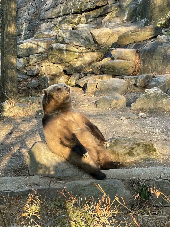 Caught The Homie On Break At The Zoo