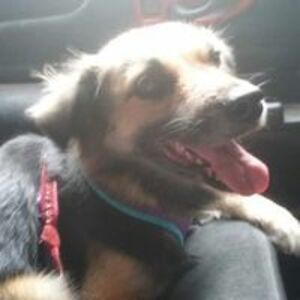 michelle_gonzalez avatar