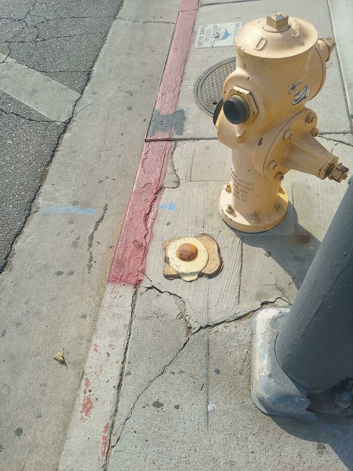 This Fake Toast In Hollywood