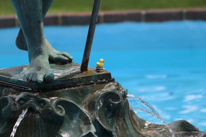 Rubber Duck On A Fountain In Portsmouth Nh