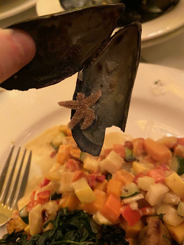 My Sister Got A Mini Starfish In Her Mussels