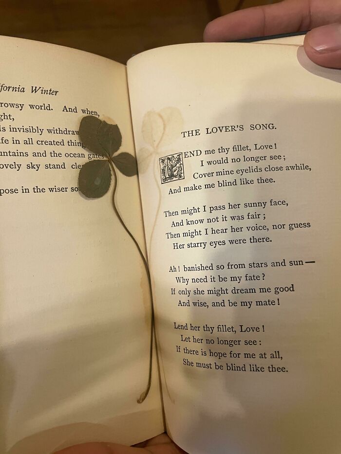 Found A Four-Leaf Clover In An Old Book Of Poetry From 1889