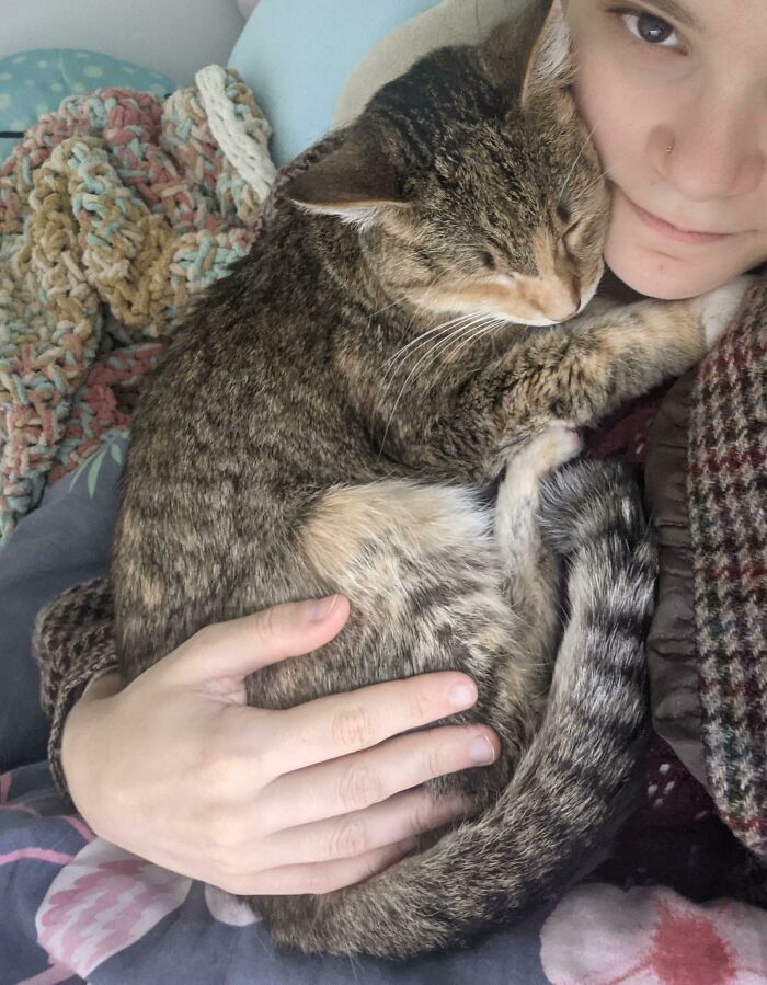 Adopté un gatito mayor que había sido devuelto al refugio unas cuantas veces. ¡Creo que tenemos un vínculo!