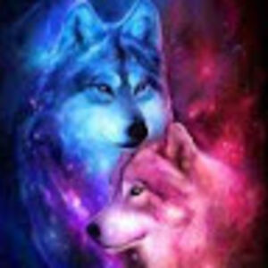 addisonmiller avatar