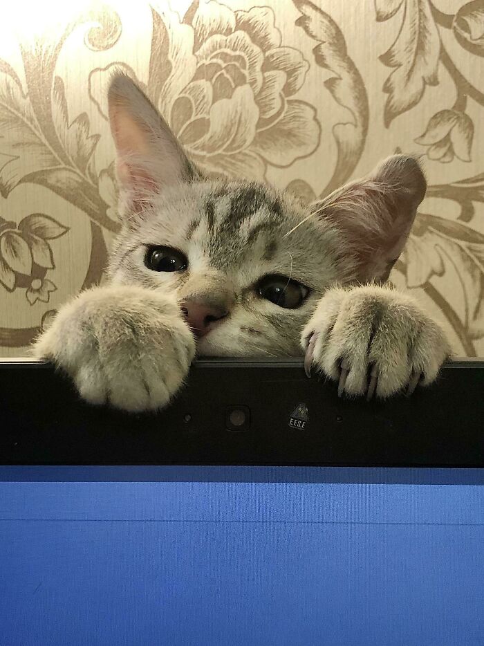 Play With Me And No That Dum Computer!