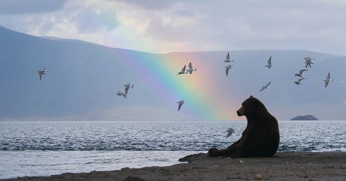 Mira a este tipo relajándose junto a un lago con un arco iris contemplando la vida