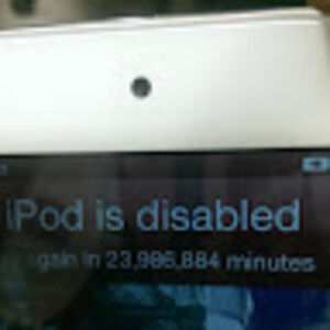 wildandfree42 avatar