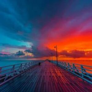 debramossshalman avatar