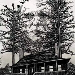 dreamteezer41 avatar